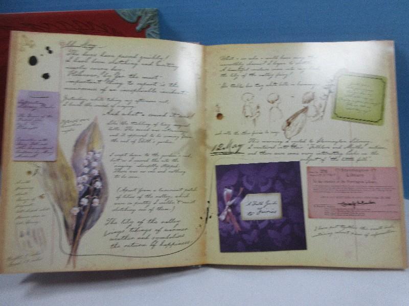 2 Collectible Books Fairyopolis A Flower Fairies Journal & Dragonfly Illustrated 2003