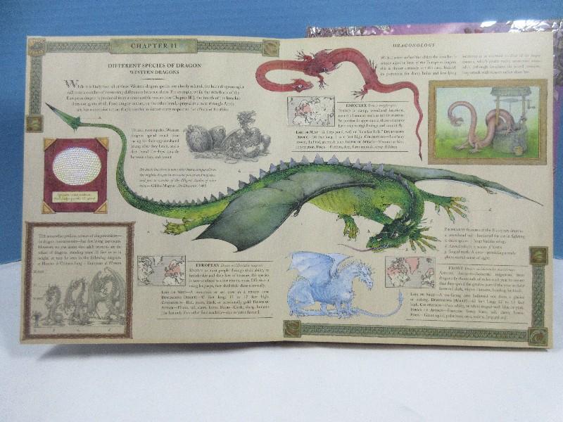 2 Collectible Books Fairyopolis A Flower Fairies Journal & Dragonfly Illustrated 2003