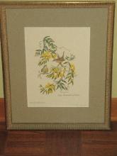 Lithograph Carolina Wren & Yellow Jasamine 1969 Artist Signed Anne Richardson w/Personal