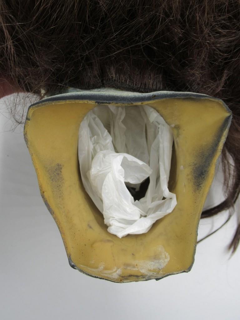The Exorcist Regan Bust