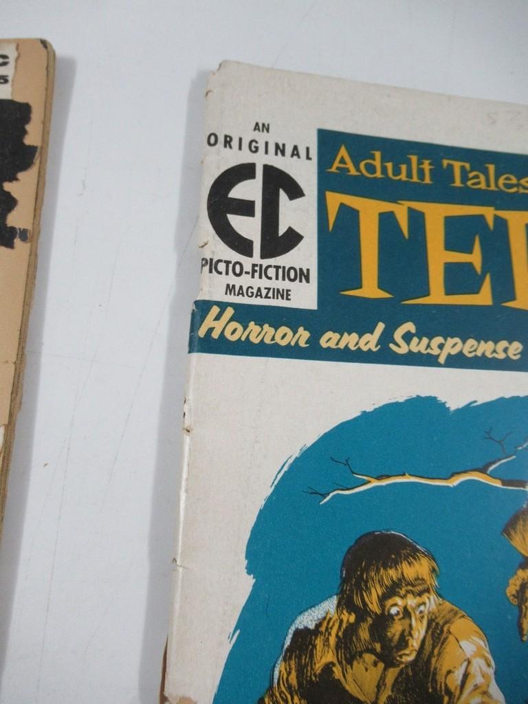EC Comics 1950s Picto-Fiction Lot Horror/Crime