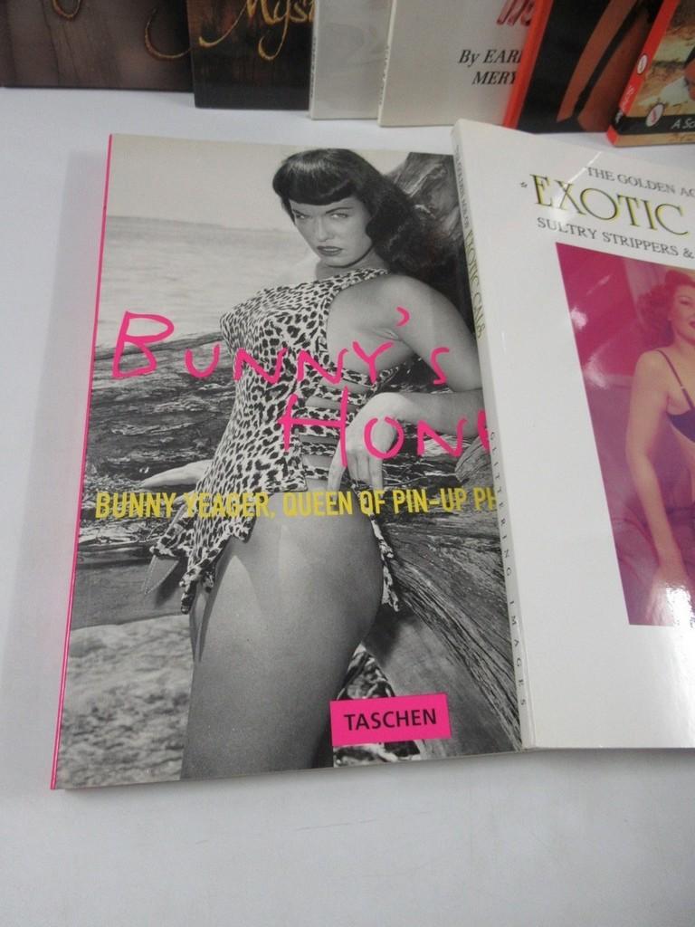 Vintage to Modern Pin-Up/Good Model Books