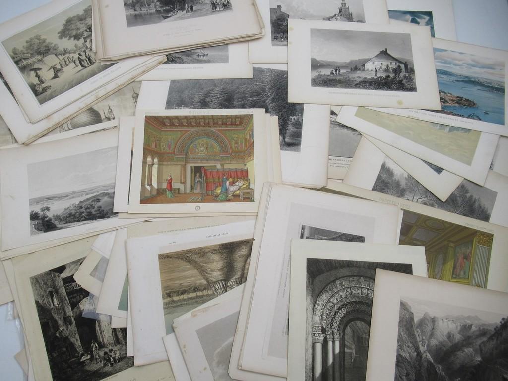Environmental Themed Variety Illustration/Lithograph Print Lot