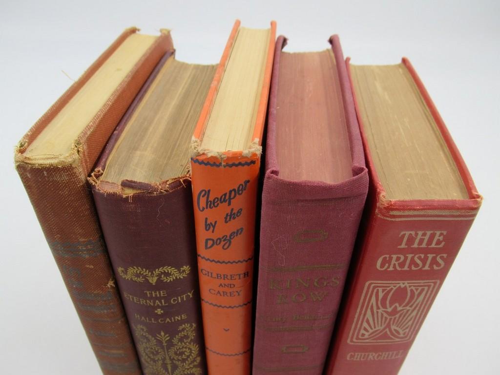 Assorted Book Lot
