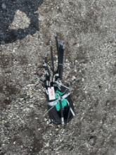 Unused Mini Excavator Hydraulic Hoses