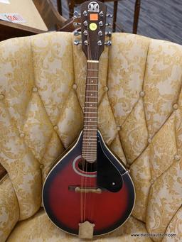 VINTAGE HONDO MANDOLIN