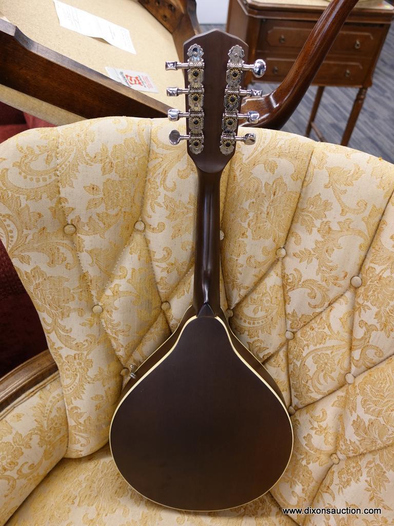 VINTAGE HONDO MANDOLIN