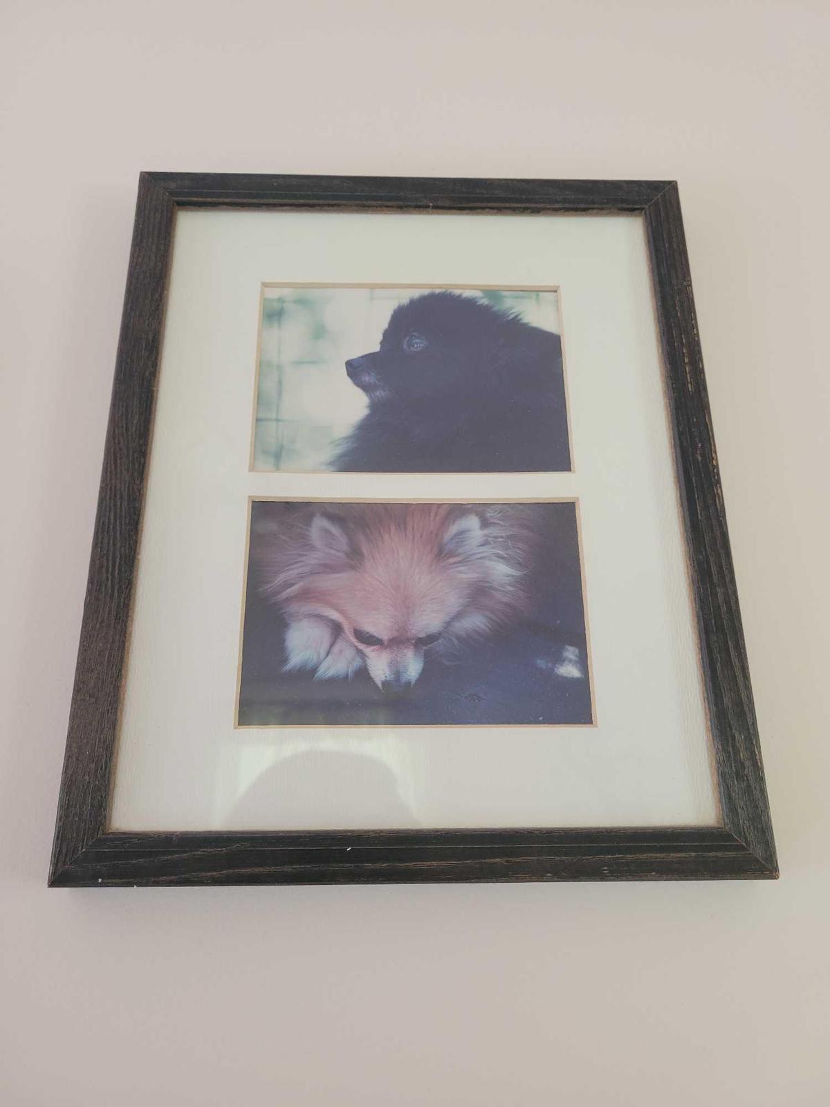 Dog Picture in Frame $1 STS