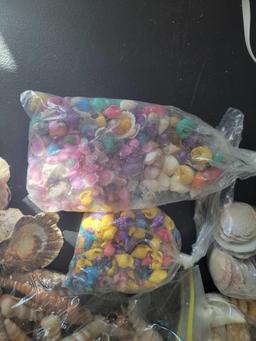 Shell Collection $3 STS