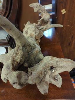 Lot of 2 Pieces of Drift Wood, What you see in photos is what you will receive Sold Where Is As Is