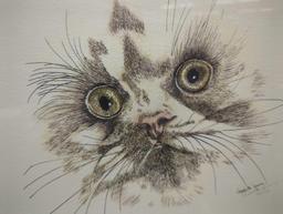 Framed Print of A Close Up of a Cats Face by Charlotte Young, Approximate Dimensions - 16" x 20",