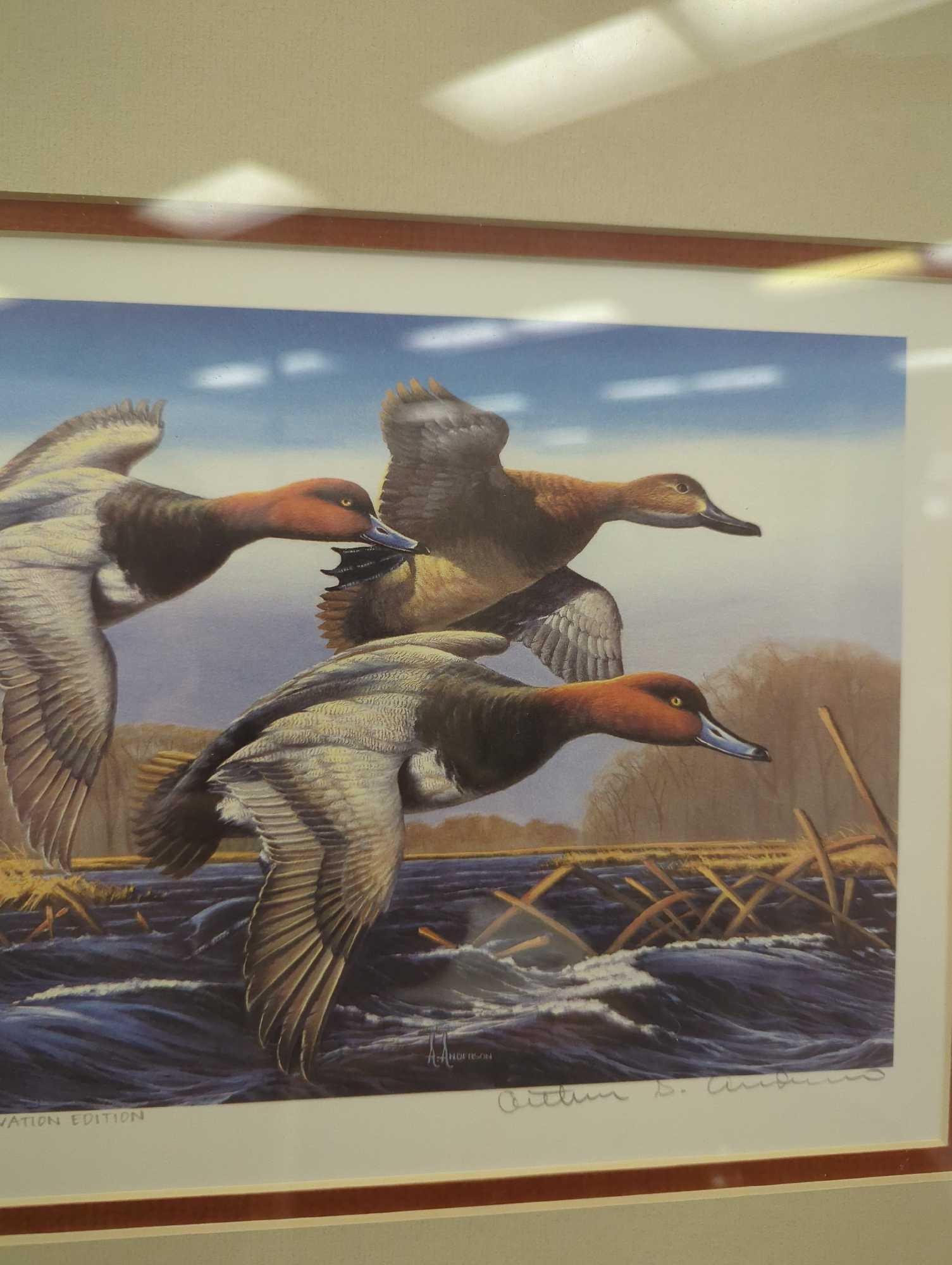 Framed Print of "1987 Federal Duck Stamp Conservation Edition" by Arthur G. Anderson, Included in