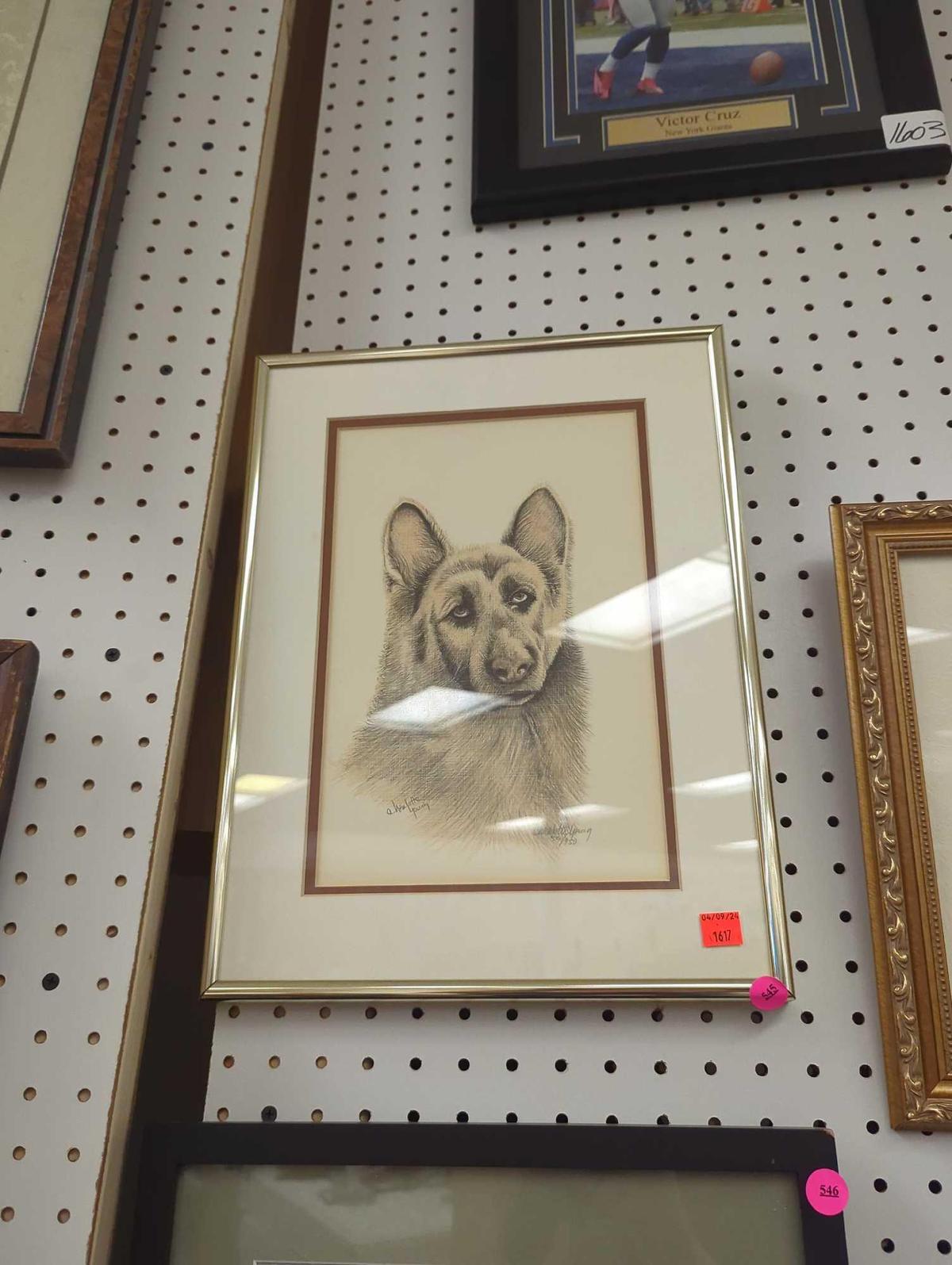 Framed Print of "German Shepherd" by Charlotte Young, Approximate Dimensions - 16" x 12", Signed and