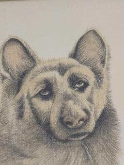 Framed Print of "German Shepherd" by Charlotte Young, Approximate Dimensions - 16" x 12", Signed and