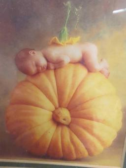 Framed Print of "Country Pumpkin" by Anne Geddes, Approximate Dimensions - 10" x 12", What You See