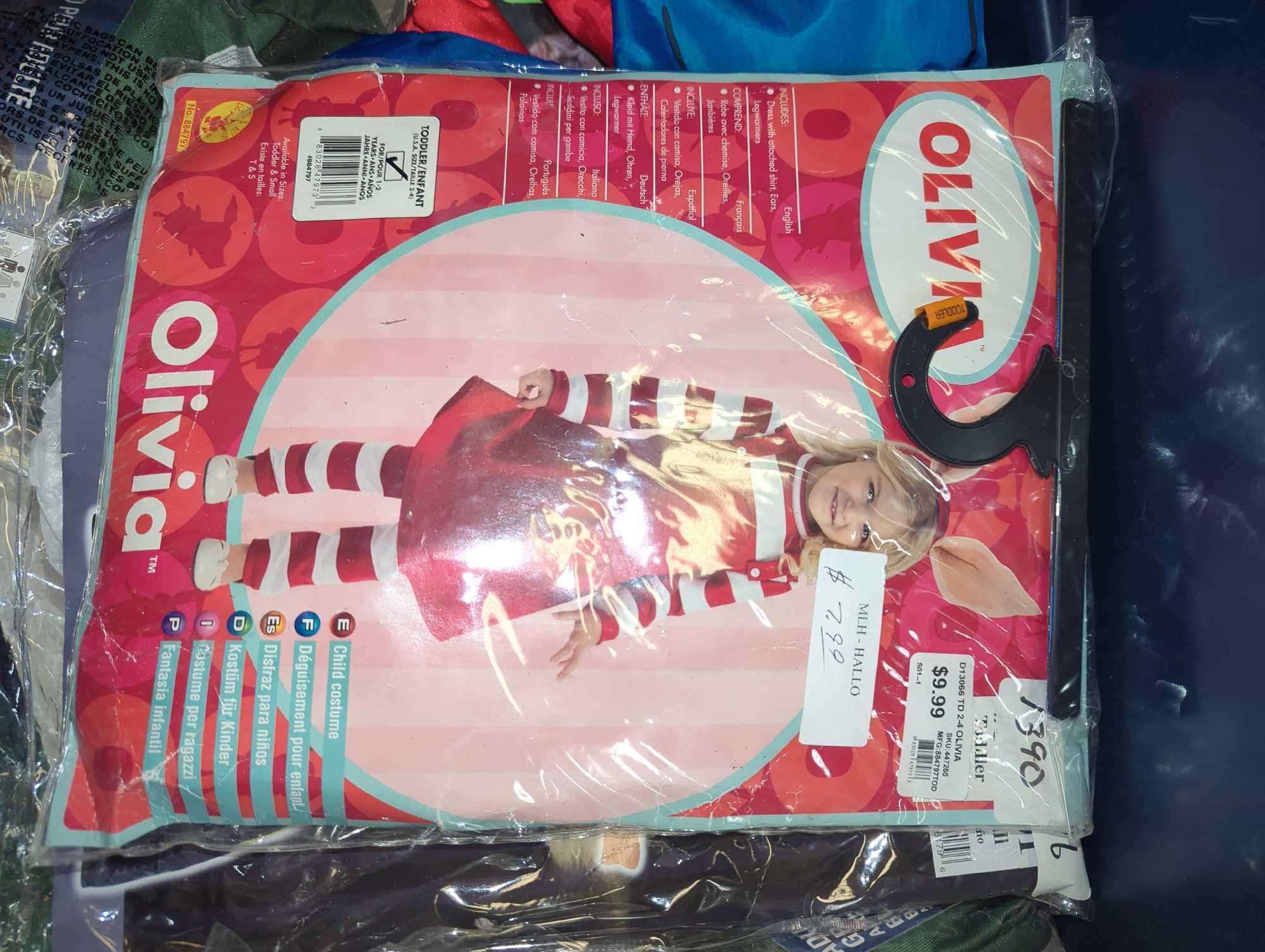 Tote Lot of Assorted Halloween Costumes Ranging From Toddler Size to Medium Adult Size including