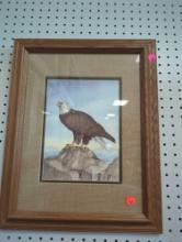 Framed Print of an Eagle Resting on a Rock, Approximate Dimensions - 19" x 15", What You See in the
