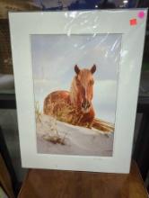 Signed and framed photo "Whiskers" of a horse by DL Waters. Comes as is shown in photos. 18"W x 24"H