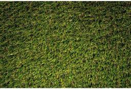 Lifeproof with Petproof Technology Premium Pet Turf 6 ft. x 7.5 ft. Green Artificial Grass Rug,