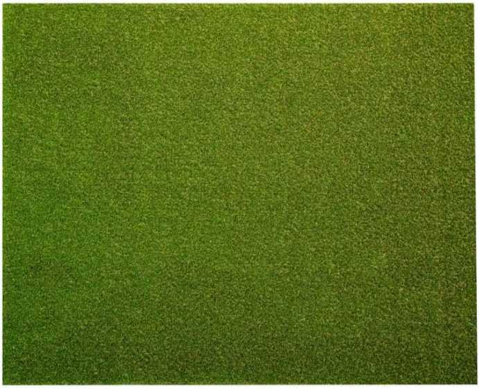 Lifeproof with Petproof Technology Premium Pet Turf 6 ft. x 7.5 ft. Green Artificial Grass Rug,