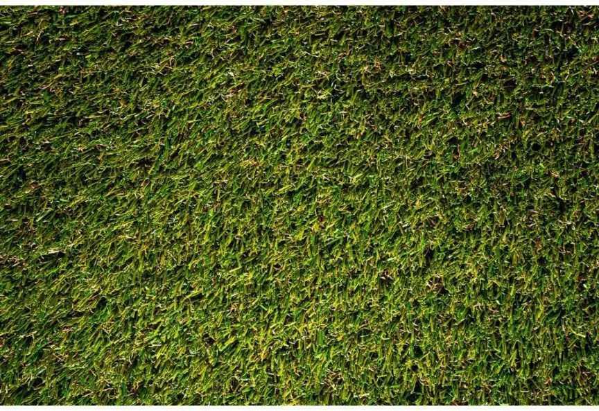 Lifeproof with Petproof Technology Premium Pet Turf 3.75 ft. x 9 ft. Green Artificial Grass Rug,