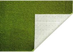 Lifeproof with Petproof Technology Premium Pet Turf 3.75 ft. x 9 ft. Green Artificial Grass Rug,