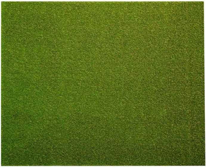 Lifeproof with Petproof Technology Premium Pet Turf 3.75 ft. x 9 ft. Green Artificial Grass Rug,