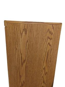 Sauder Wooden Entertainment Center with Glass Door and 3 Shelves 22 in x 16 in x 48 in