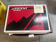 Ascent Bicycle Helmet in Gray with Original Box