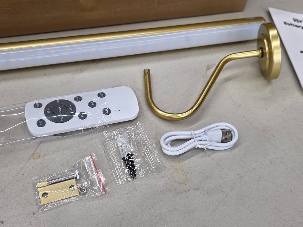 Bridika Battery Picture Light with Remote Control and Accessories