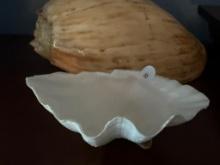 Large White Clamshell Bowl with Decorative