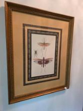 18X22 Pair of Framed and Double Matted Insect Prints in