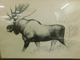 1967 W.D. Berry - Signed Pencil Sketch - Moose - 14.75" x 19"