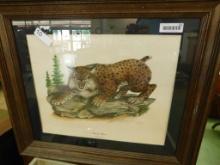 "Kentucky Wildcat" - Mike Reynolds - LE Print - Numbered