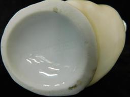 Royal Bayreuth Porcelain - Bavaria - 3 Pitcher / Creamers - Eagle - Duck - Parrot