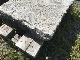 Limestone Walk Stone