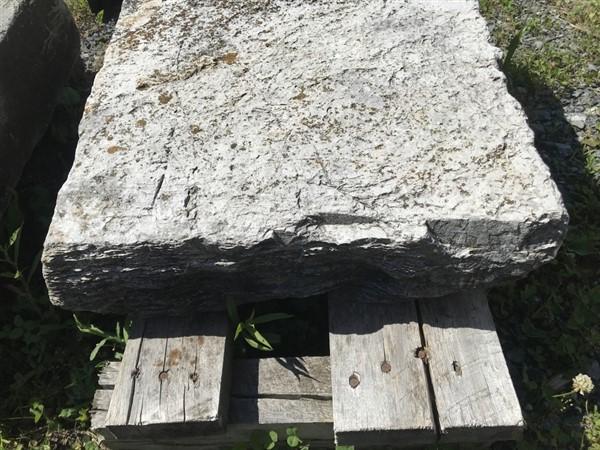Limestone Walk Stone