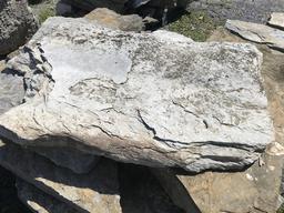 Skid of Limestone Pavers
