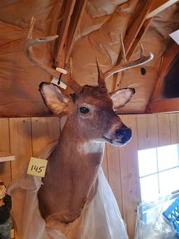 Buck Mount