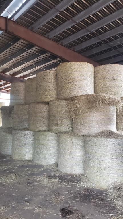 (22) Clover Alfalfa Mixed Grass Round Bales