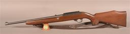 Ruger 10/22 .22LR Rifle