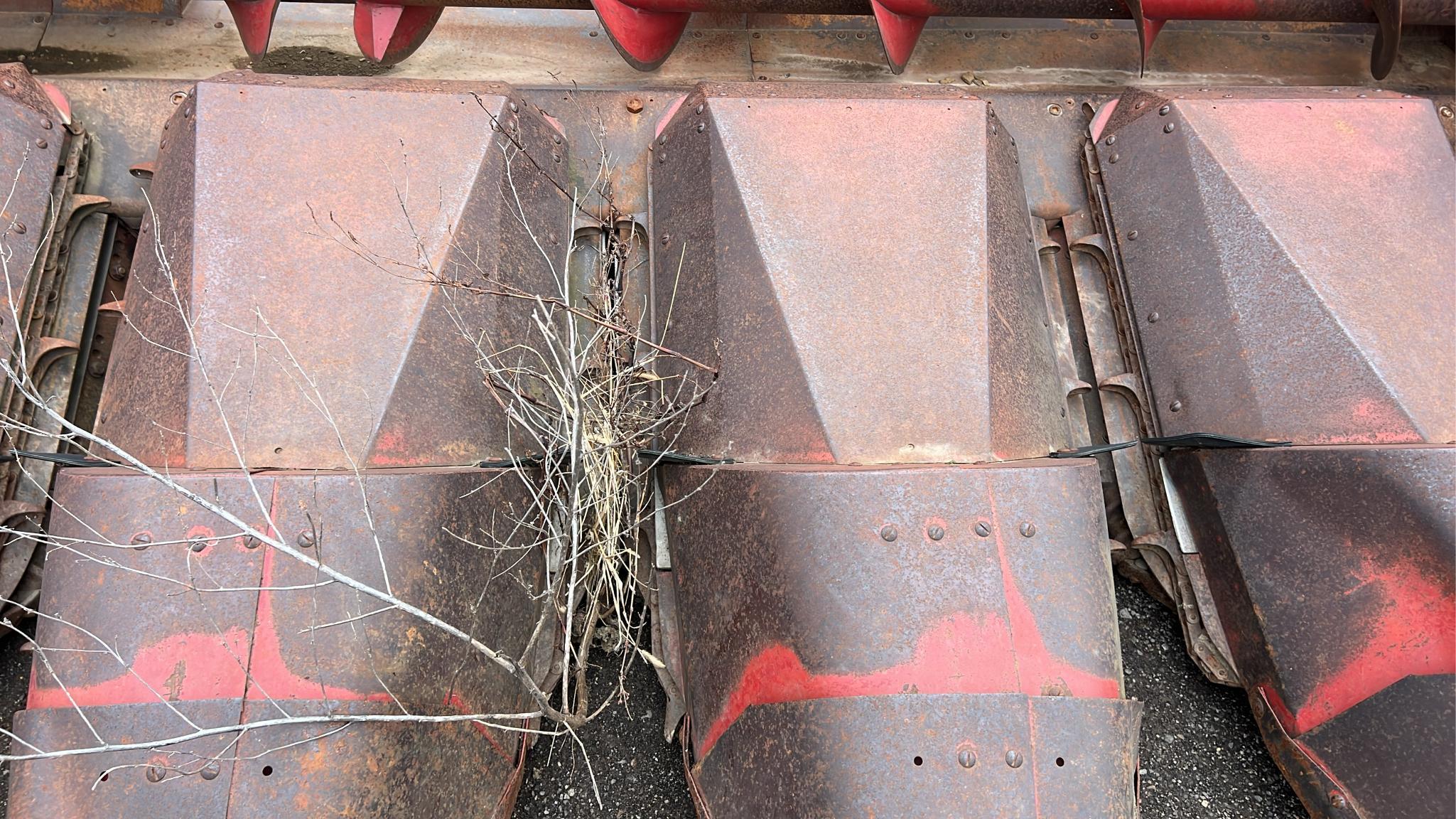Case IH 1063 6-Row Corn Head