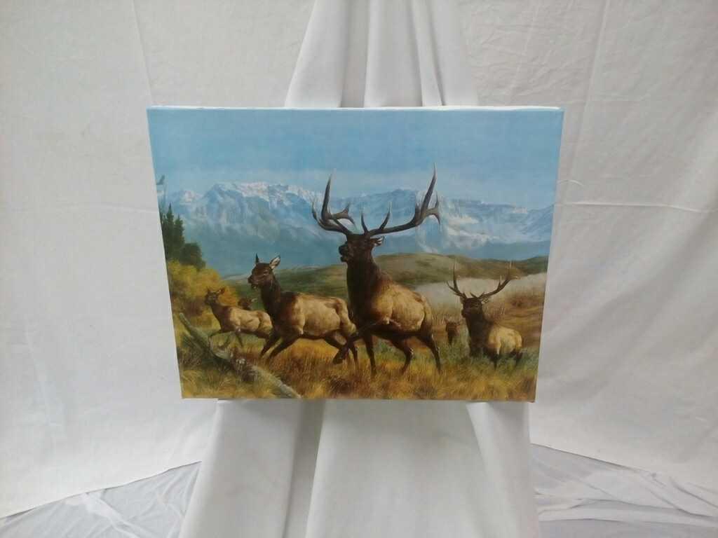 Ducks Unlimited Print