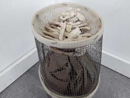 FISH OR MINNOW TRAP - INCLUDES FISH NET