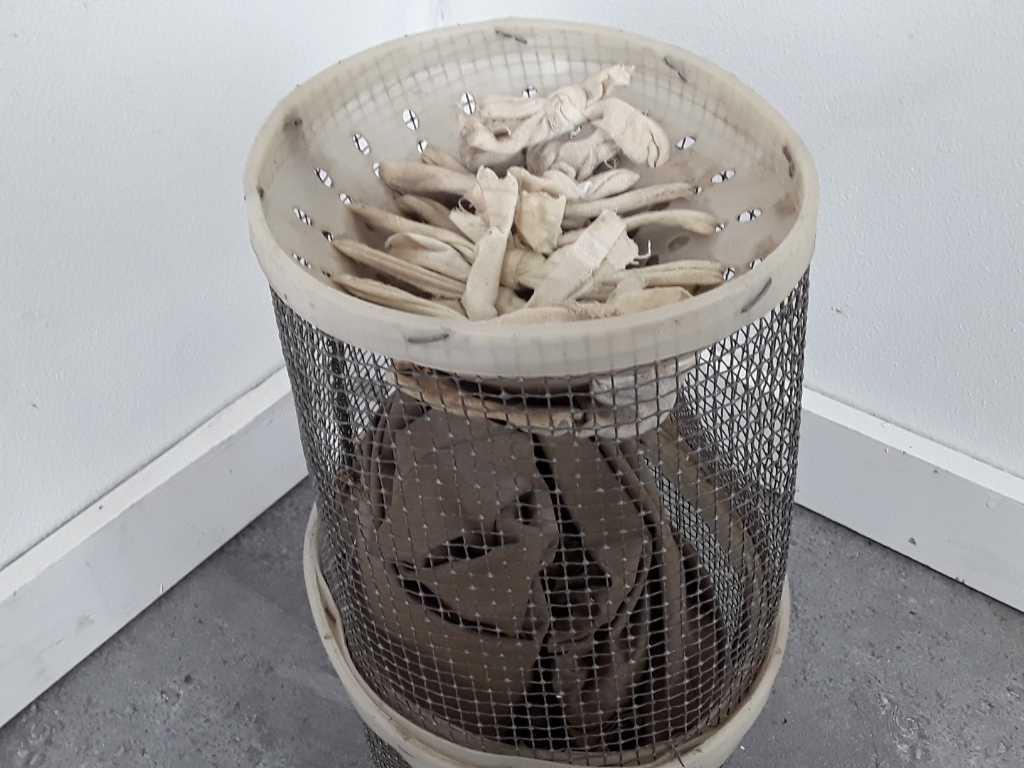 FISH OR MINNOW TRAP - INCLUDES FISH NET