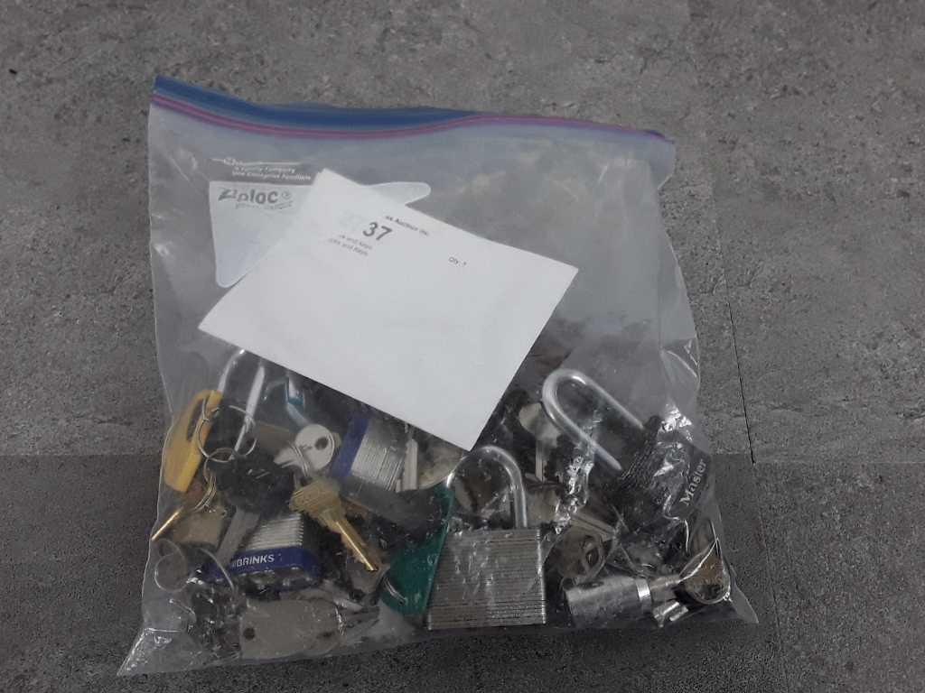 Bag of Locks and Keys.