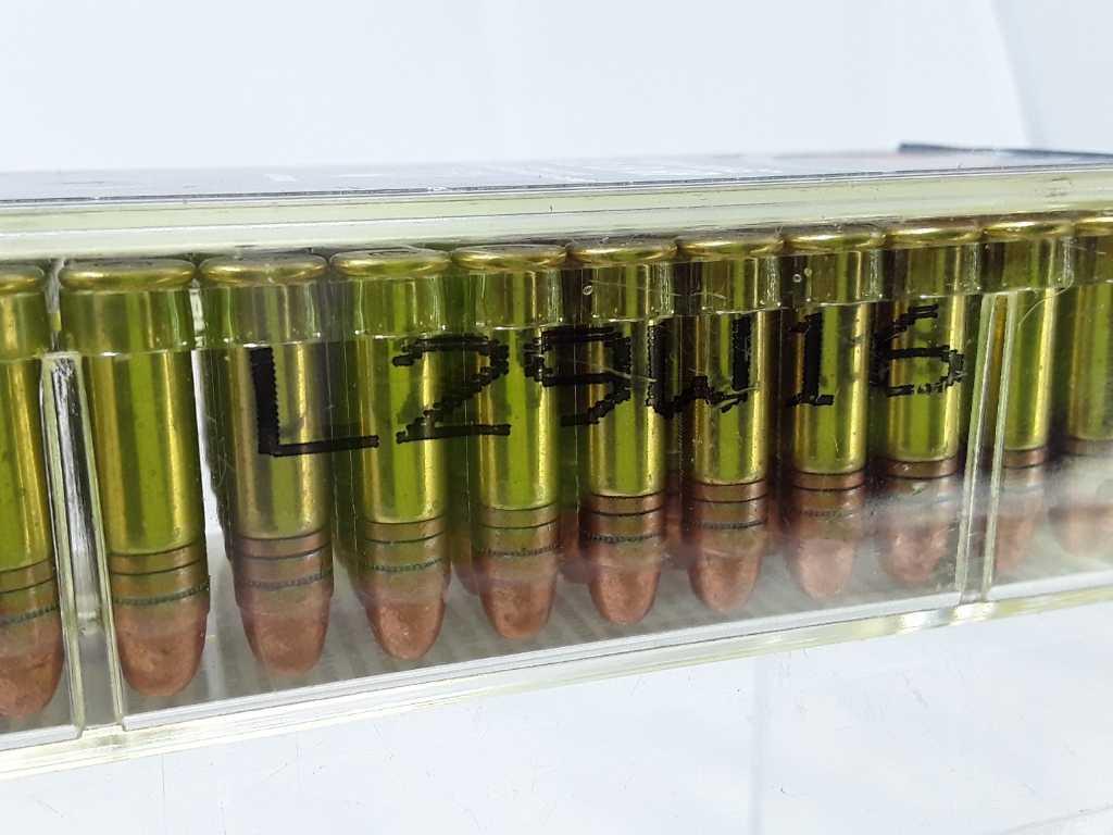 1 Box CCI 22 Long Rifle  Hollow Point Ammo.