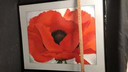 "SINGLE RED POPPY" BY GEORGIA O'KEEFFE