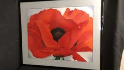 "SINGLE RED POPPY" BY GEORGIA O'KEEFFE