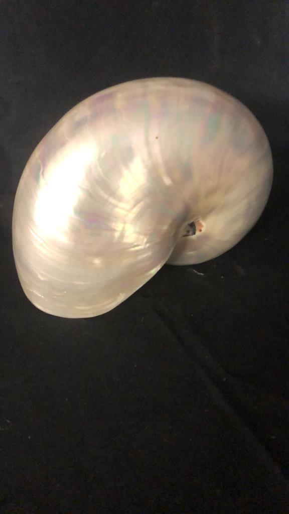 CLASSICAL-STYLE ART & IRIDESCENT SHELL DECOR